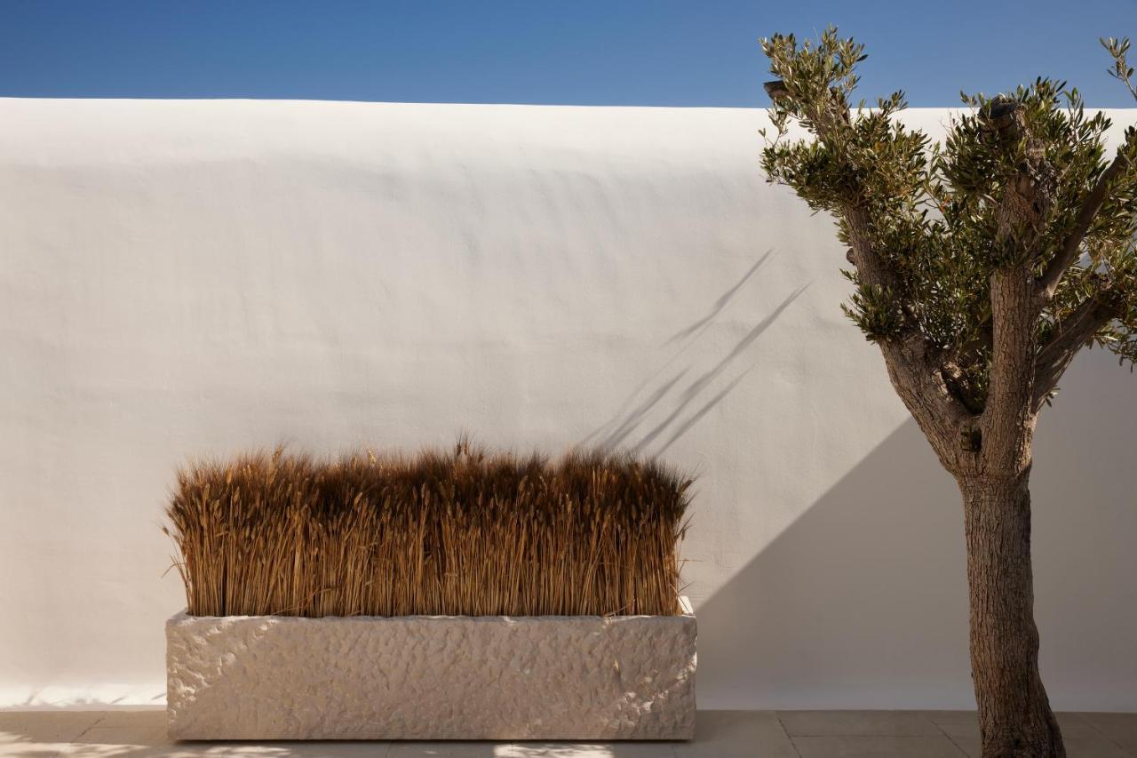 Kalesma Mykonos Hotel Ornos  Bagian luar foto